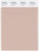 Pantone Smart 14-1307 TCX Color Swatch Card | Rose Dust