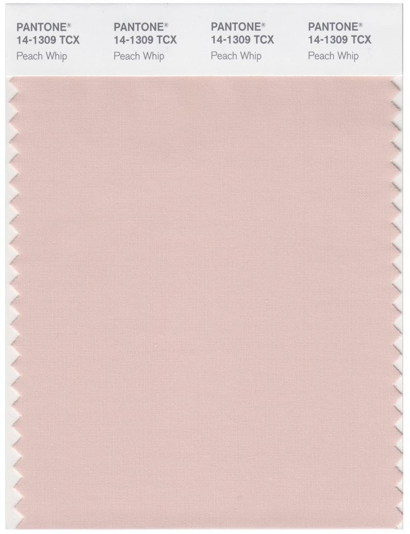 Color 14109 Pantone Smart 14-1309 TCX Color Swatch Card | Peach Whip | Magazine ...