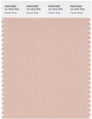 Pantone Smart 14-1310 TCX Color Swatch Card | Cameo Rose