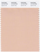 Pantone Smart 14-1314 TCX Color Swatch Card | Spanish Villa