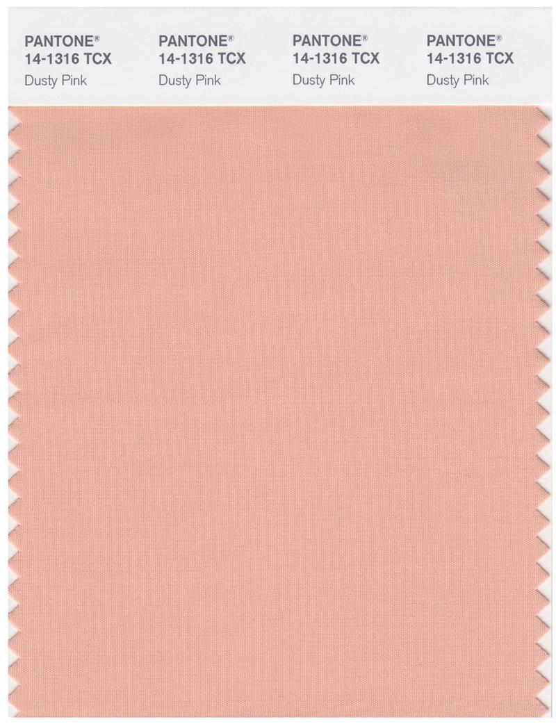 Pantone Smart 14-1316 TCX Color Swatch Card | Dusty Pink