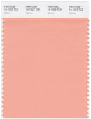 Pantone Smart 14-1323 TCX Color Swatch Card | Salmon