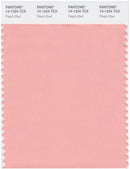 Pantone Smart 14-1324 TCX Color Swatch Card | Peach Bud