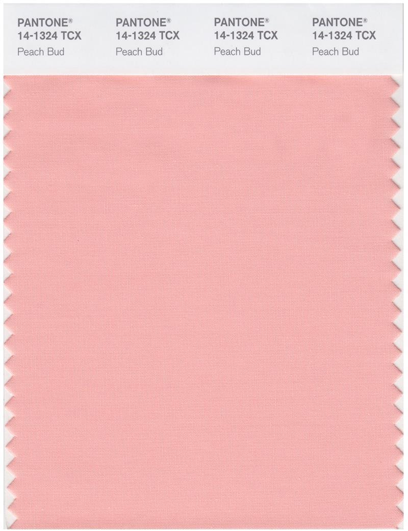 Pantone Smart 14-1324 TCX Color Swatch Card | Peach Bud