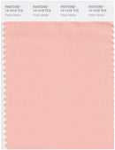 Pantone Smart 14-1418 TCX Color Swatch Card | Peach Melba
