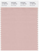 Pantone Smart 14-1506 TCX Color Swatch Card | Rose Smoke