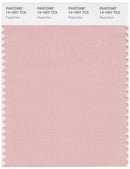 Pantone Smart 14-1907 TCX Color Swatch Card | Peachskin