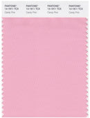 Pantone Smart 14-1911 TCX Color Swatch Card | Candy Pink