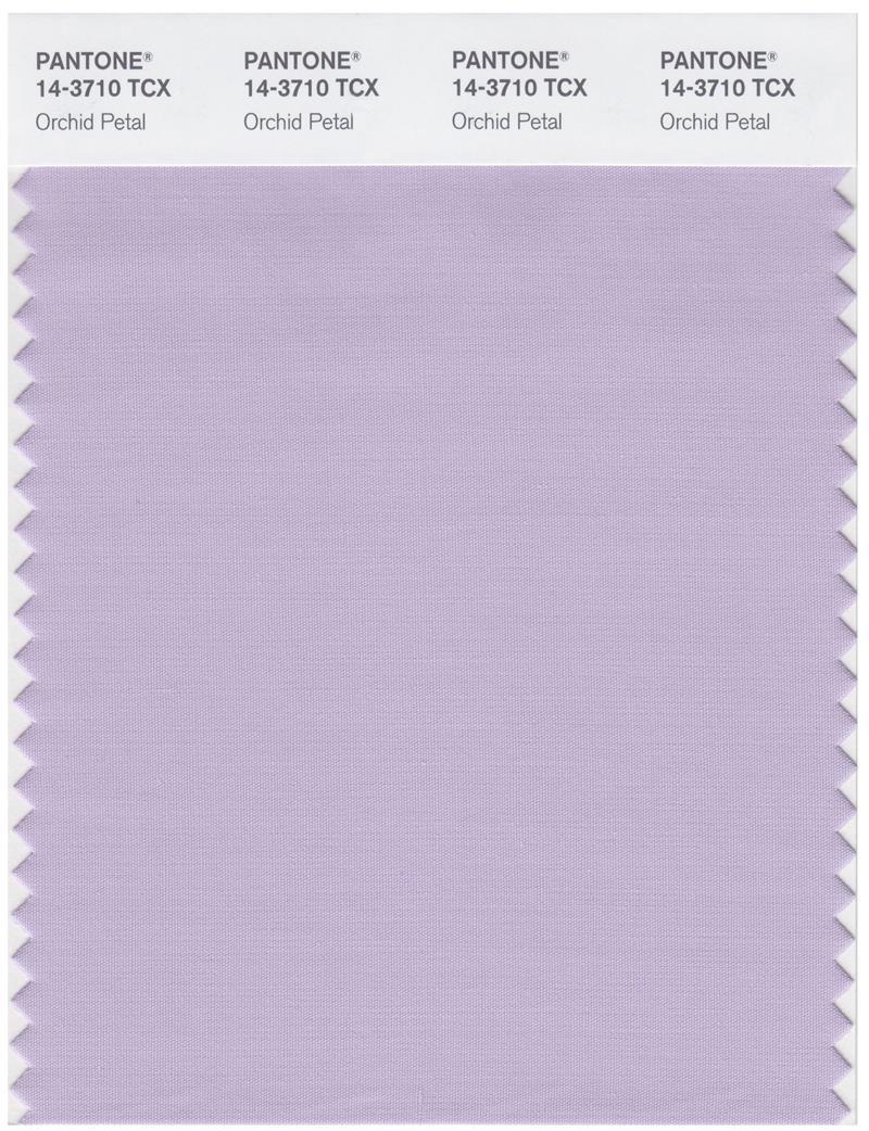 その他 PANTONE for fashion and  COLOR CARD Pantone Smart 14-1313 TCX Color Swatch Card | Rose Cloud