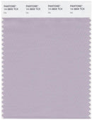 Pantone Smart 14-3805 TCX Color Swatch Card | Iris