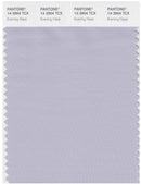 Pantone Smart 14-3904 TCX Color Swatch Card | Evening Haze