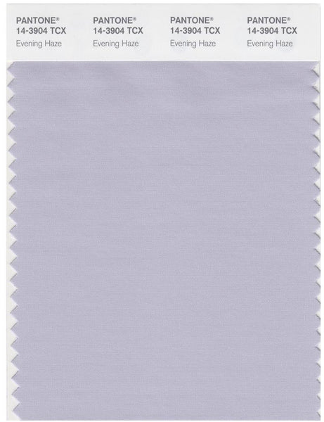 Pantone Smart 14-3904 TCX Color Swatch Card | Evening Haze