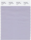 Pantone Smart 14-3907 TCX Color Swatch Card | Thistle