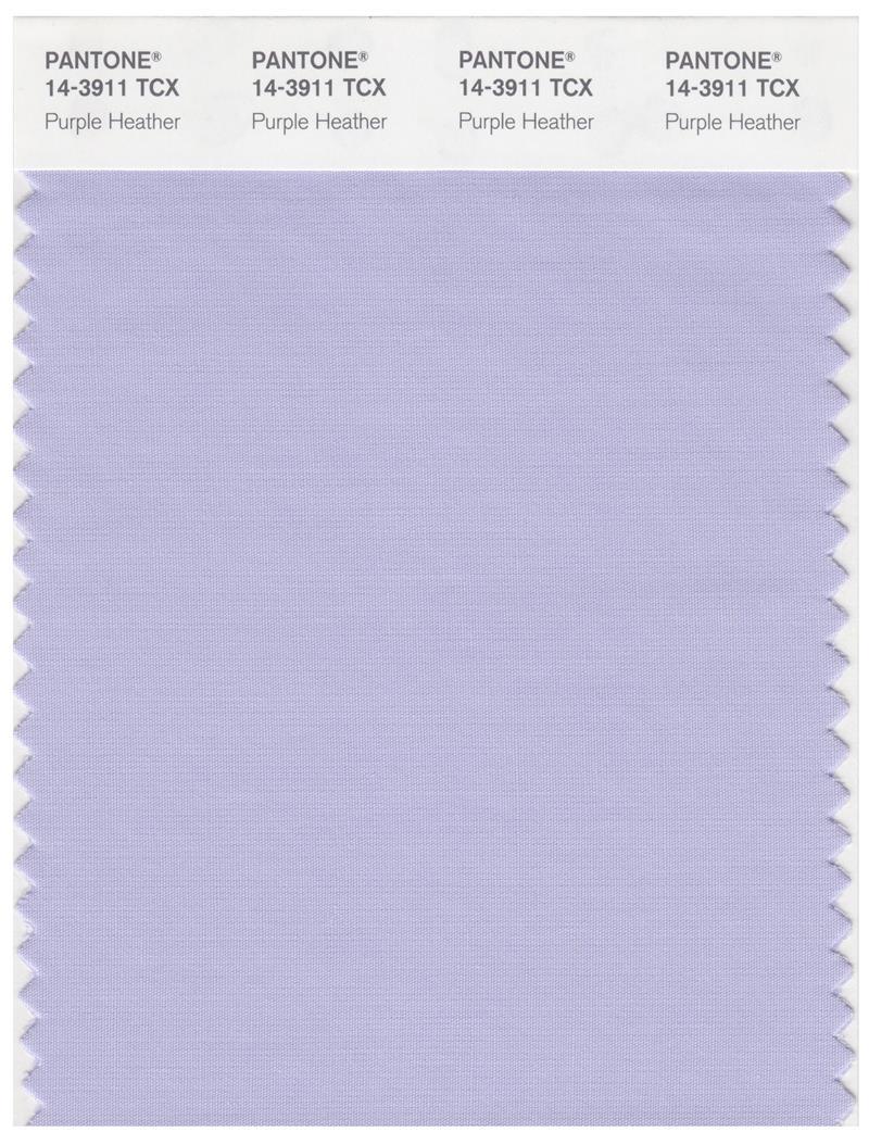 その他 PANTONE for fashion and  COLOR CARD Pantone 19-3901 TCX Smart Color Swatch Card, Magnet - House Paint