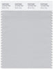 Pantone Smart 14-4102 TCX Color Swatch Card | Glacier Gray