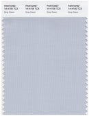 Pantone Smart 14-4106 TCX Color Swatch Card | Gray Dawn