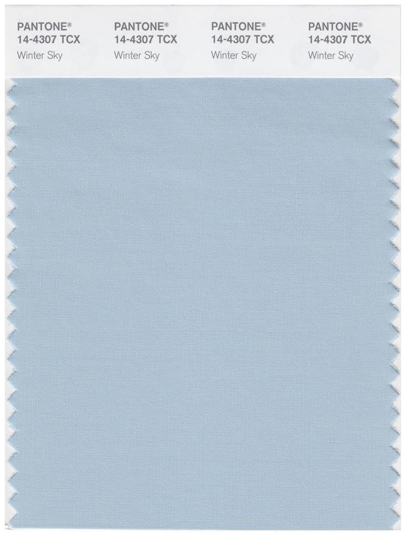 Pantone Smart 14-4307 TCX Color Swatch Card | Winter Sky