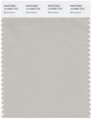 Pantone Smart 14-4500 TCX Color Swatch Card | Moonstruck
