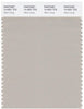 Pantone Smart 14-4501 TCX Color Swatch Card | Silver Lining