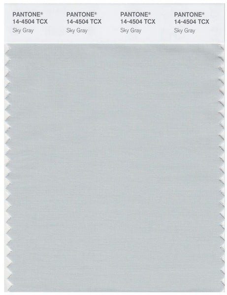 Digitallyページ Pantone Smart 14-4504 TCX Color Swatch Card | Sky Gray | Magazine