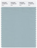 Pantone Smart 14-4506 TCX Color Swatch Card | Ether