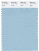 Pantone Smart 14-4510 TCX Color Swatch Card | Aquatic