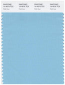 Pantone Smart 14-4516 TCX Color Swatch Card | Petit Four