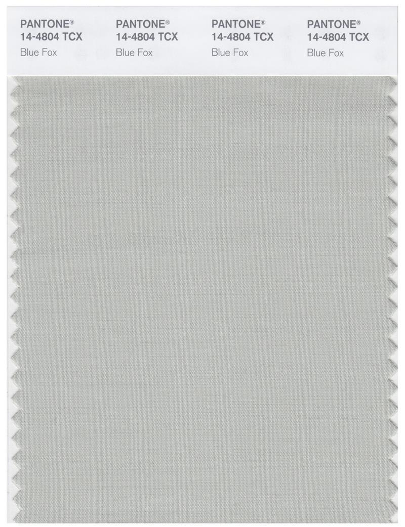 Pantone Smart 14-4804 TCX Color Swatch Card | Blue Fox | Magazine
