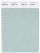 Pantone Smart 14-4807 TCX Color Swatch Card | Surf Spray