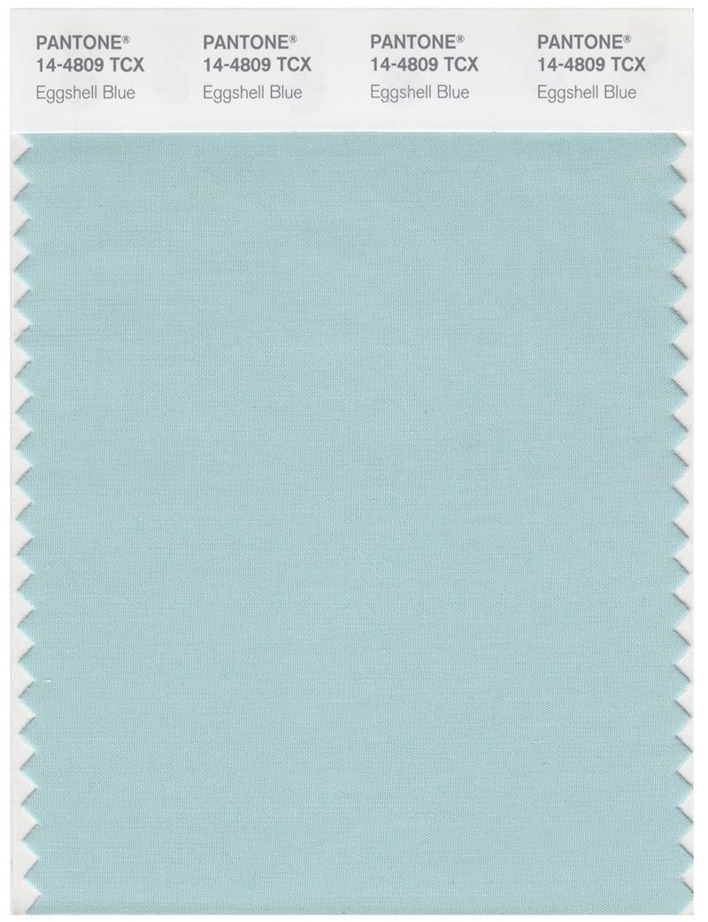 Color 14109 Pantone Smart 14-4809 TCX Color Swatch Card | Eggshell Blue | Magazine ...