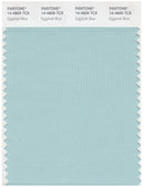 Pantone Smart 14-4809 TCX Color Swatch Card | Eggshell Blue