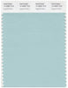 Pantone Smart 14-4809 TCX Color Swatch Card | Eggshell Blue