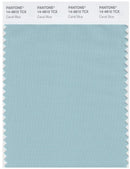 Pantone Smart 14-4810 TCX Color Swatch Card | Canal Blue