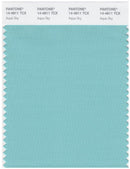 Pantone Smart 14-4811 TCX Color Swatch Card | Aqua Sky