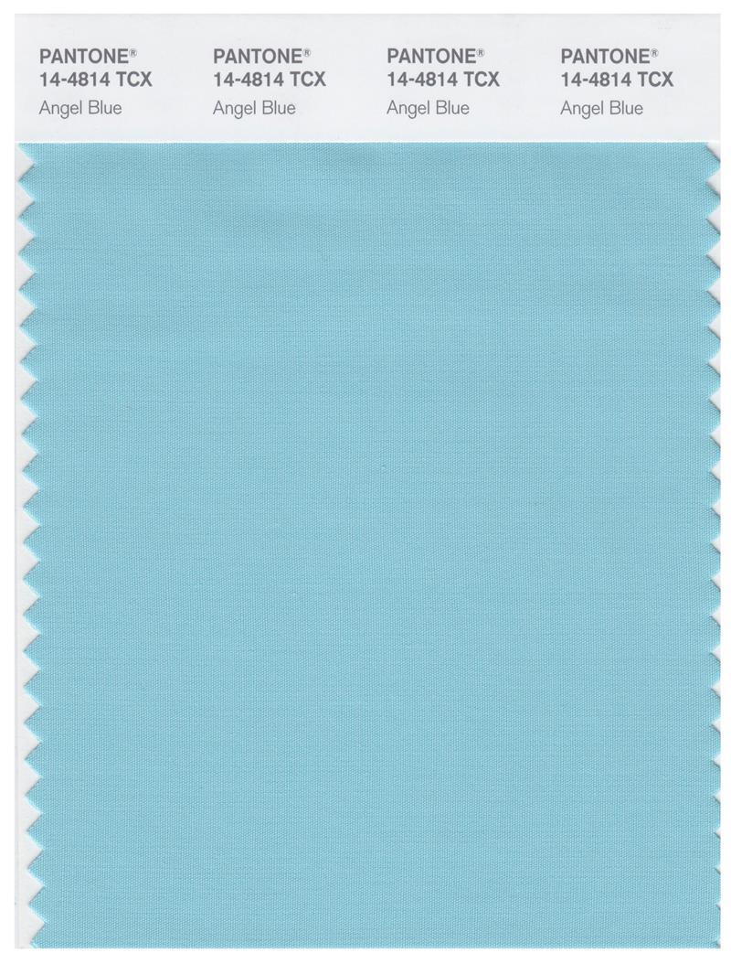 Pantone Smart 14-4814 TCX Color Swatch Card | Angel Blue