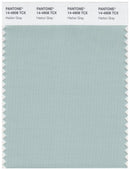 Pantone Smart 14-4908 TCX Color Swatch Card | Harbor Gray