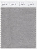 Pantone Smart 14-5002 TCX Color Swatch Card | Silver