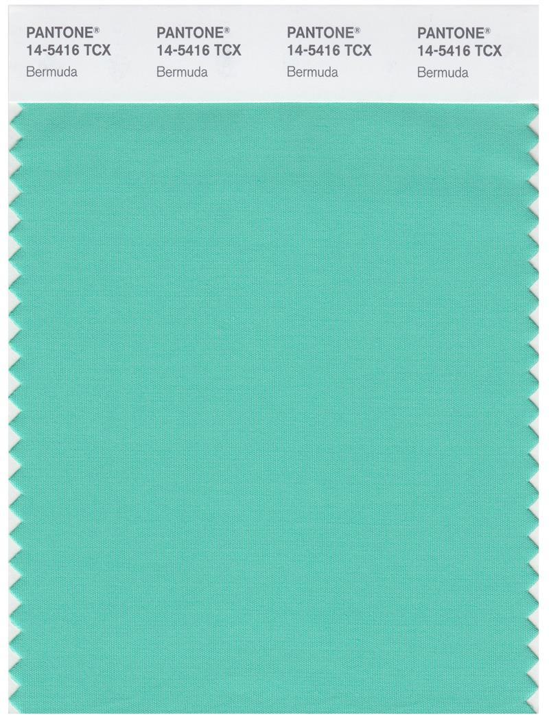 Pantone Smart 14-5416 TCX Color Swatch Card | Bermuda | Magazine