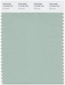 Pantone Smart 14-5706 TCX Color Swatch Card | Silt Green