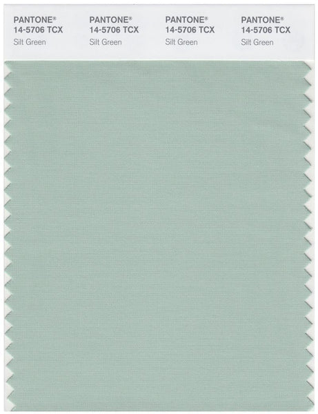 その他 PANTONE for fashion and  COLOR CARD Pantone Smart 14-5706 TCX Color Swatch Card | Silt Green