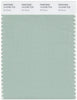 Pantone Smart 14-5706 TCX Color Swatch Card | Silt Green