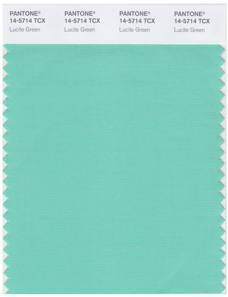 Pantone Smart 14-5714TCX Color Swatch Card | Lucite Green