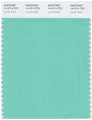 Pantone Smart 14-5714 TCX Color Swatch Card | Lucite Green