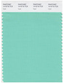 Pantone Smart 14-5718 TCX Color Swatch Card | Opal
