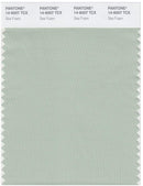 Pantone Smart 14-6007 TCX Color Swatch Card | Sea Foam