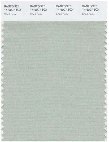 Pantone Smart 14-6007 TCX Color Swatch Card | Sea Foam | Magazine