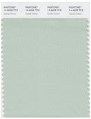 Pantone Smart 14-6008 TCX Color Swatch Card | Subtle Green