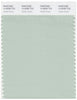 Pantone Smart 14-6008 TCX Color Swatch Card | Subtle Green