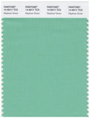 Pantone Smart 14-6017 TCX Color Swatch Card | Neptune Green