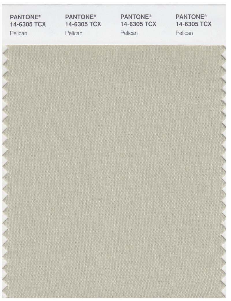 Pantone Smart 14-6305 TCX Color Swatch Card | Pelican | Magazine